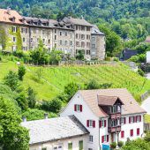 Städtischer Weingarten in Bregenz eingeweiht