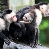Nachwuchs für „Mally“