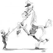 Lipizzaner Umschulung!