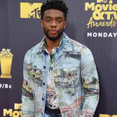 Abräumer bei MTV Awards