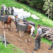 Milizsoldaten greifen zur Schaufel