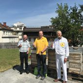 Neue summende Mitarbeiter