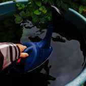 Regentonne als Wasserspeicher