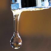 Forscher lösen Rätsel um „Plopp“-Geräusch