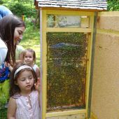 Expertenvortrag über Gesundes aus dem Bienenstock