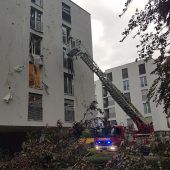 Riesenast stürzt auf Haus