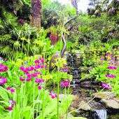 Gartenkunst made in Cornwall