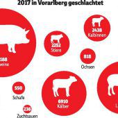 Kälbertransporte unverändert