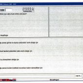 Ohne Türkisch zum Führerschein