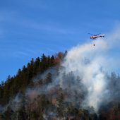 Die Waldbrandgefahr wächst täglich