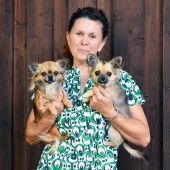 Hunde zeigen Rasse und Klasse