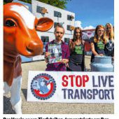 Zahlen zu Tiertransporten