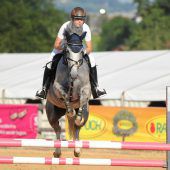Edler Pferdesport: Springturnier in Langenegg