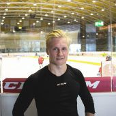 Pulli für Dornbirn Bulldogs