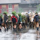 Das Ende der Sommerfrische