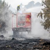 Evakuierungen nach Waldbrand