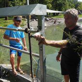 Untere Au punktet mit Wasserqualität