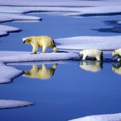 GlobalerKlimawandel
