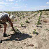 Klimaexperten schlagen Alarm