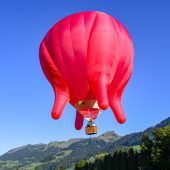 Walserherbst wurde effektvoll eröffnet: Kuh ist Leittier bei diesem Festival. »D7