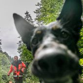 Vierbeiner auf Übungsmission. »B1
