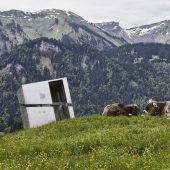 Lob für mutige Bauherren