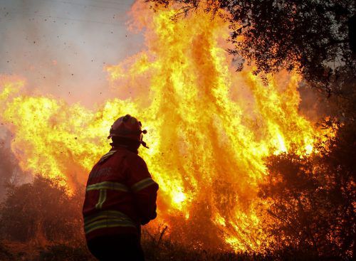 Seit Tagen wütet ein Waldbrand in der Algarve. AFP