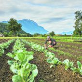 „Bruder Hahn“ und Ressourcen schonen