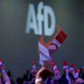 Rechte AfD ist bereits zweitstärkste Kraft