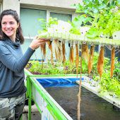 Urbanes Gärtnern in Bioqualität