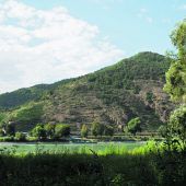 Mit dem Rad durch die Wachau