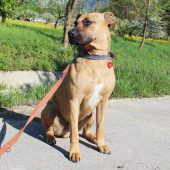 Alice und Anton sind unzertrennlich