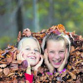 Der Herbst hat jetzt Einzug gehalten
