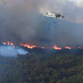 Waldbrand wütet in der Toskana