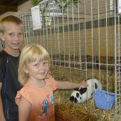 Große Ausstellung für kleine Tiere