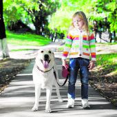 „Ein Hund ist kein Spielzeug“