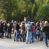 Im Herbst wird es laut in den Bergen