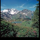 Hingucker auf 1654 Meter