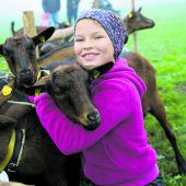Bock auf „Goaßamart“