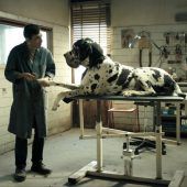 Gangster-Parabel „Dogman“ im Kino Rio