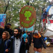 Rodungsstopp im Hambacher Forst