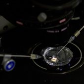 Umstrittener Forscher: Gen-Babys führen „normales Leben“