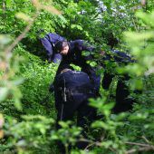 Knochenfund: Polizei bereitet große Spurensuche vor. »B1