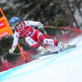 Scheyer und Co. legen los