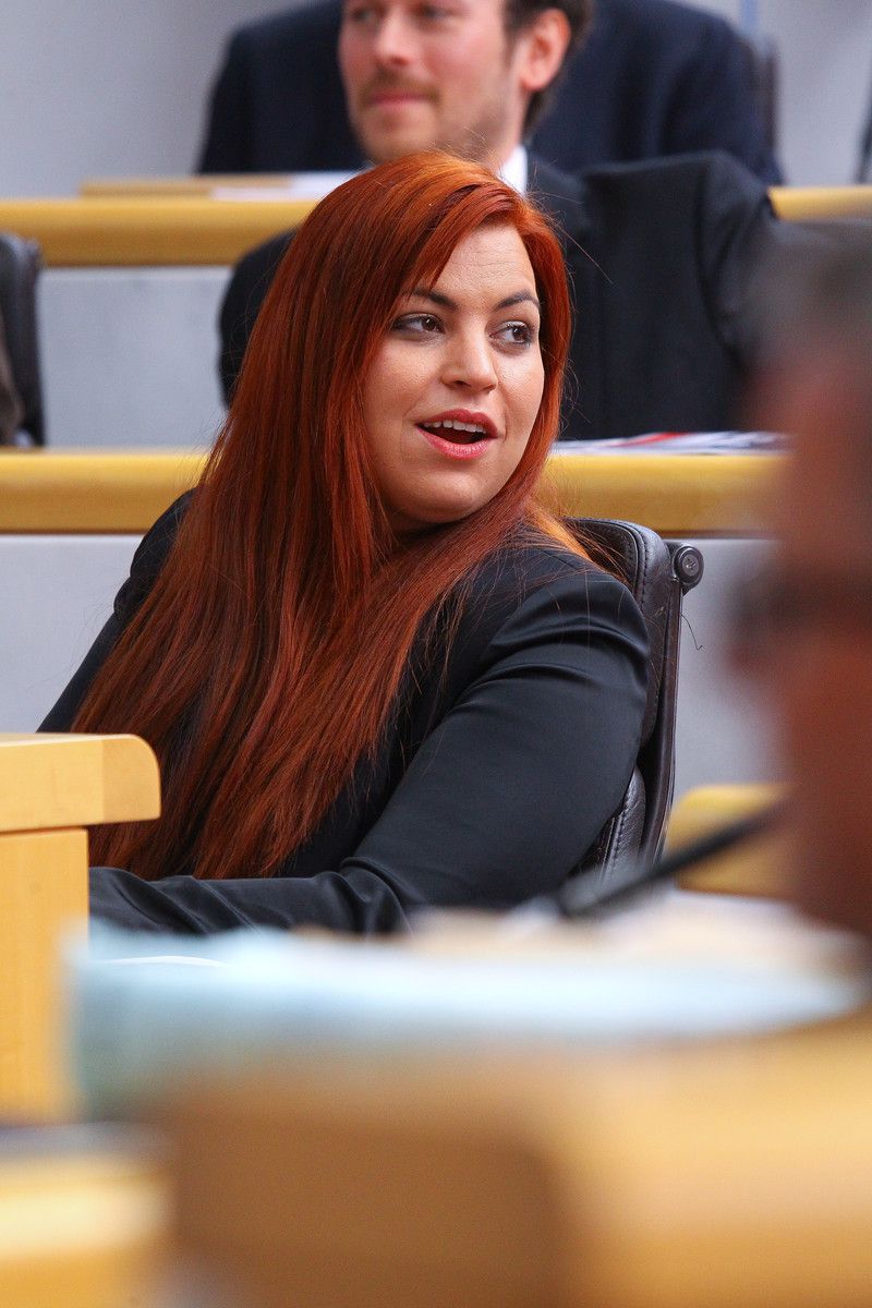 Vorarlbergerin Tomaselli im neuen Bundesvorstand der Grünen