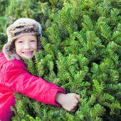 Lange Zeit Freude am Christbaum
