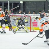 Bulldogs suchen Päckchen mit Punkten