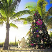 Fortsetzung der Geschichte Adventzauber in Florida von Seite G1