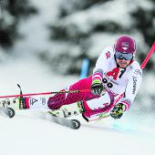 Hirscher von „Hero zu Zero“