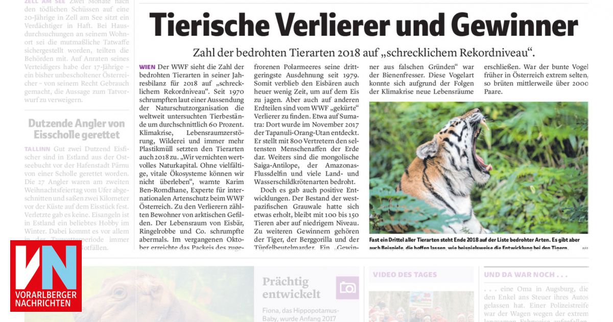 Tierische Verlierer Und Gewinner Vorarlberger Nachrichten VN AT